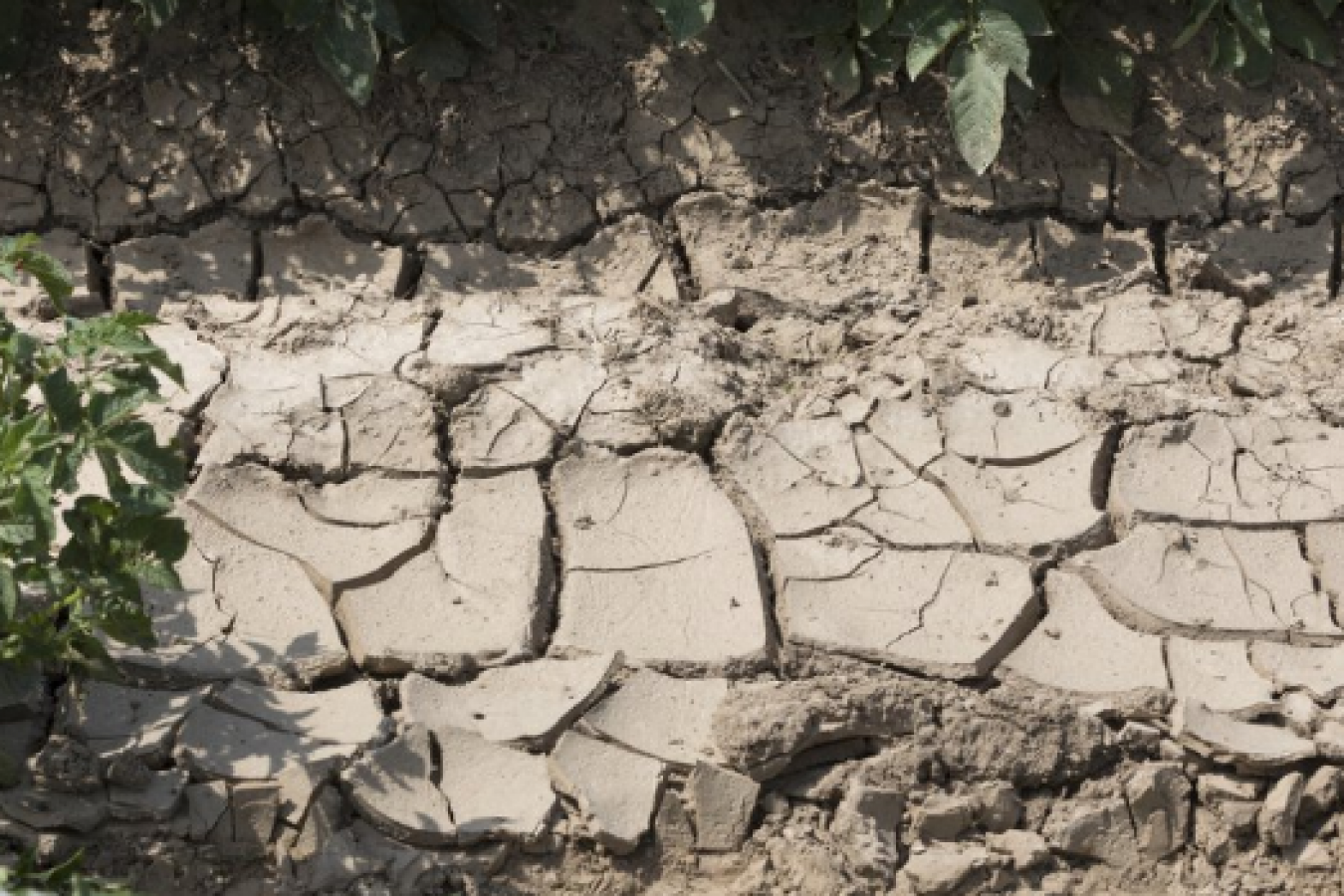 Changement climatique : Haïti parmi les pays très mal classés