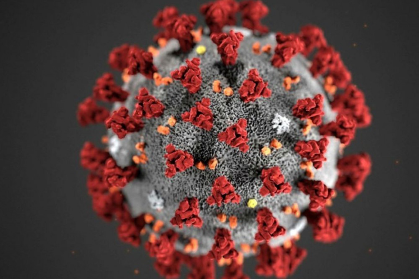 Coronavirus : la recrudescence des cas importés