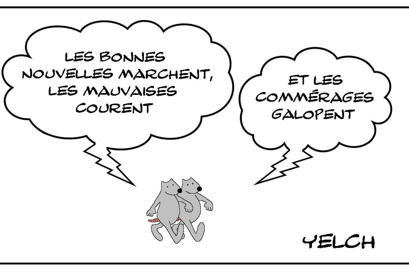 Dans l'expectative du nouveau ZEN