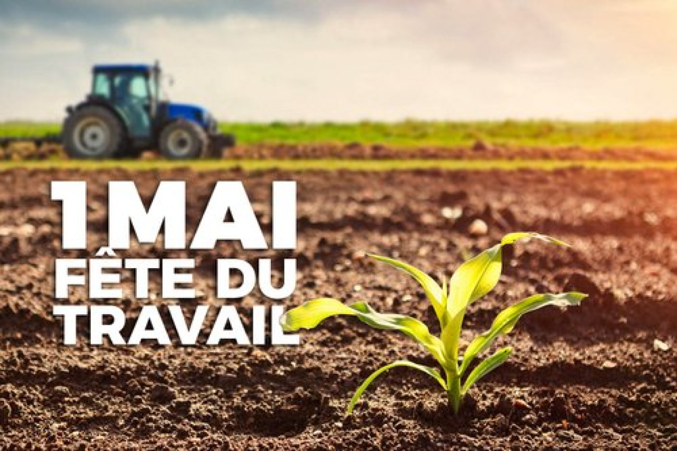 Haïti, fête du travail et de l'agriculture : Et si on n'en parlait plus ?