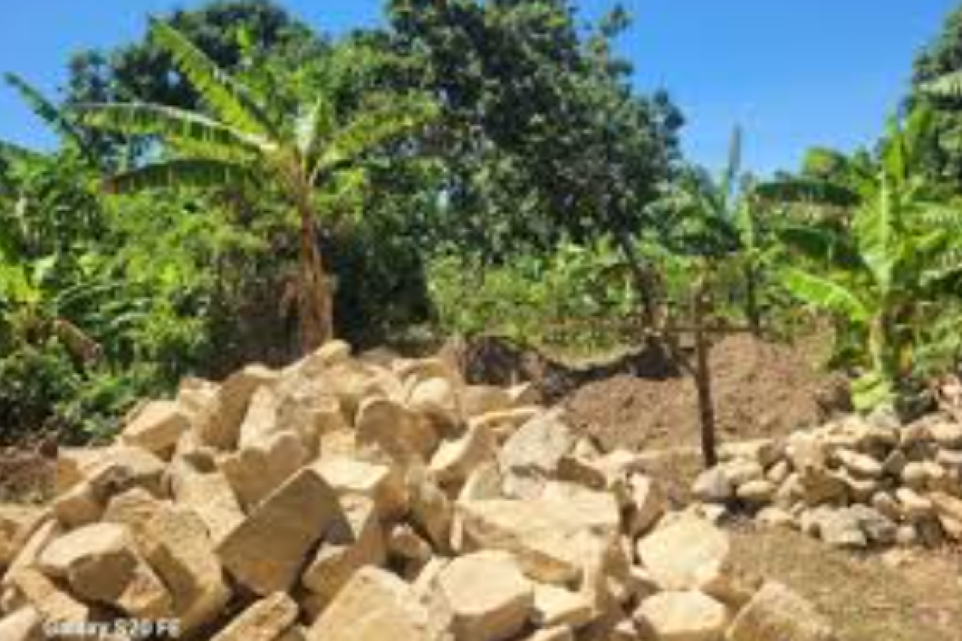 L’étalement urbain en Haïti et la disparition progressive des terres agricoles