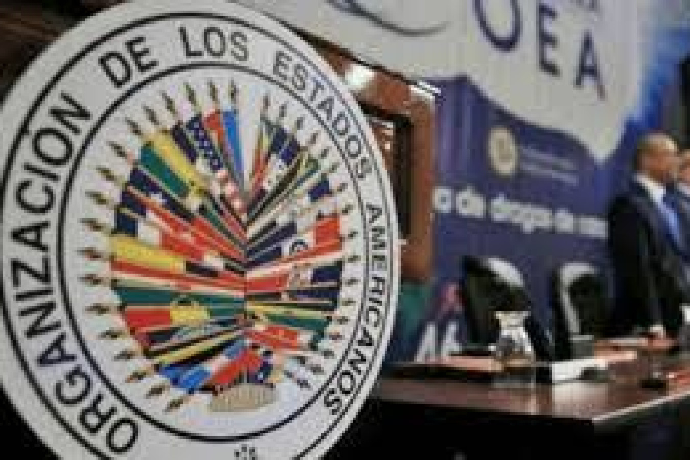 L'OEA affiche son soutien au gouvernement de transition