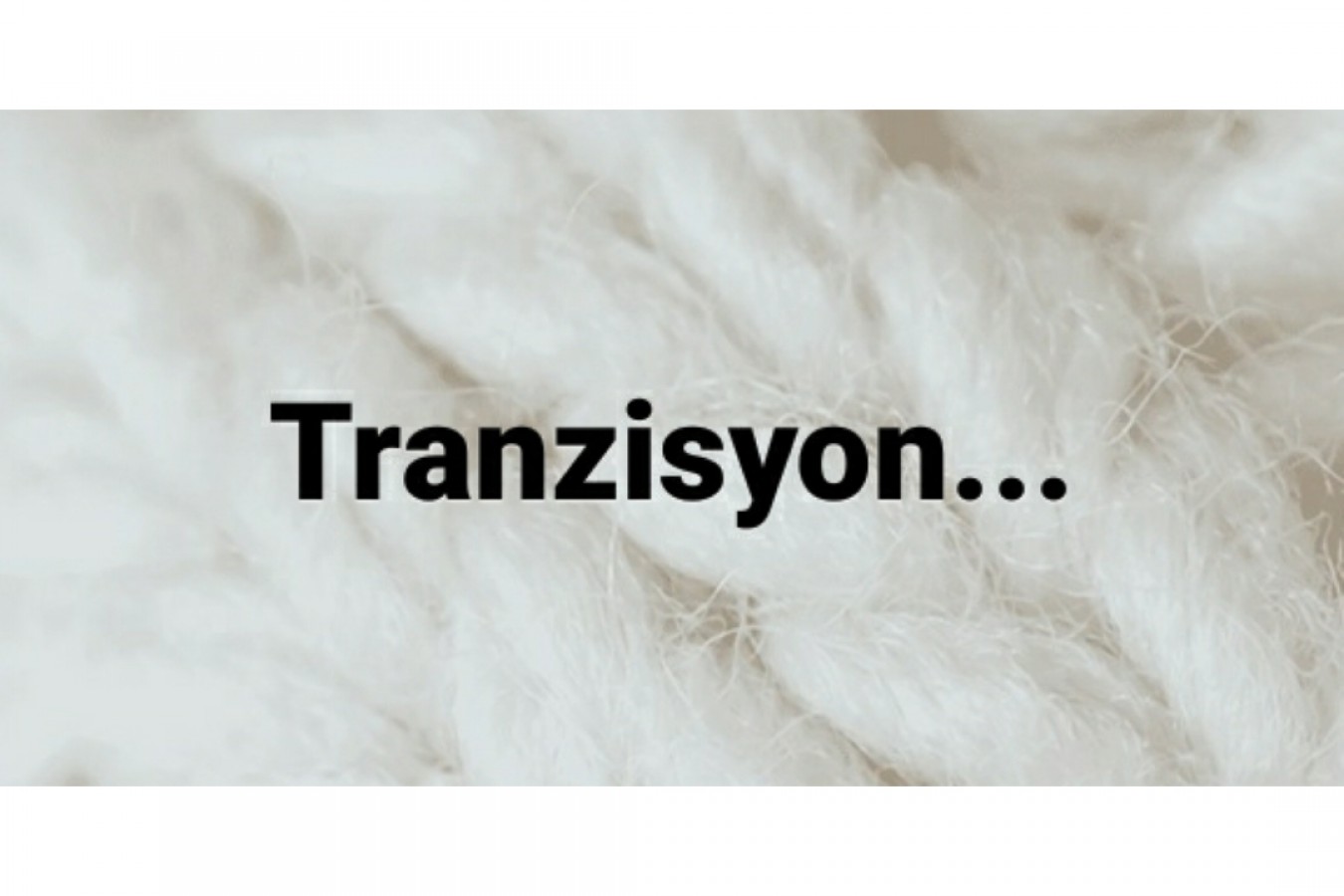 La transition : une condition nécessaire mais non suffisante.