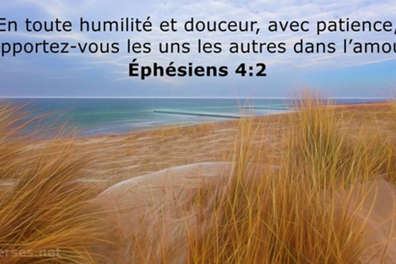 Pour une vie épanouie et prospère : La sagesse, la patience et l’humilité