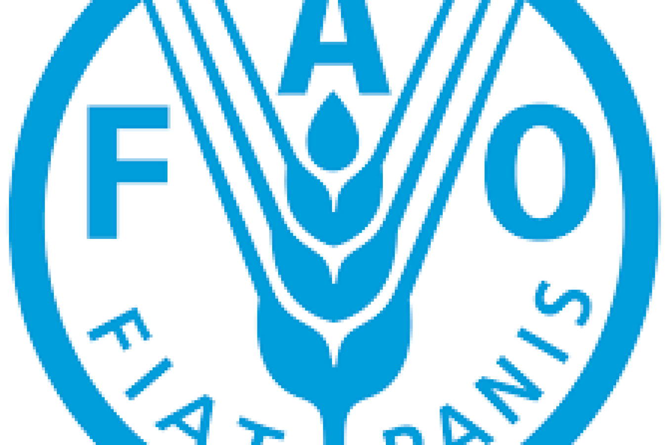 Une mission stratégique de la FAO est dans nos murs